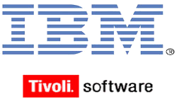 An Overview of IBM Tivoli Storage Manager – TSM Products